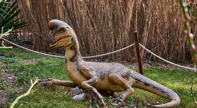 Овираптор үлэг гүрвэл 