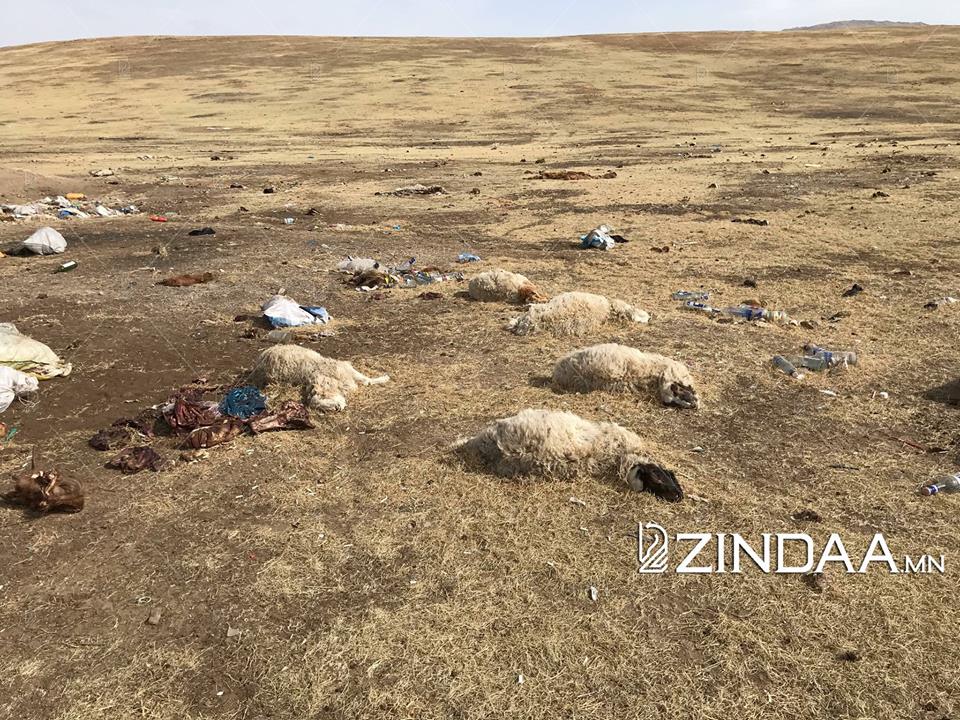 Хэнтий аймгийн Баянхутаг сум. Гэрэл зургийг Б.МӨНХЗАЯА