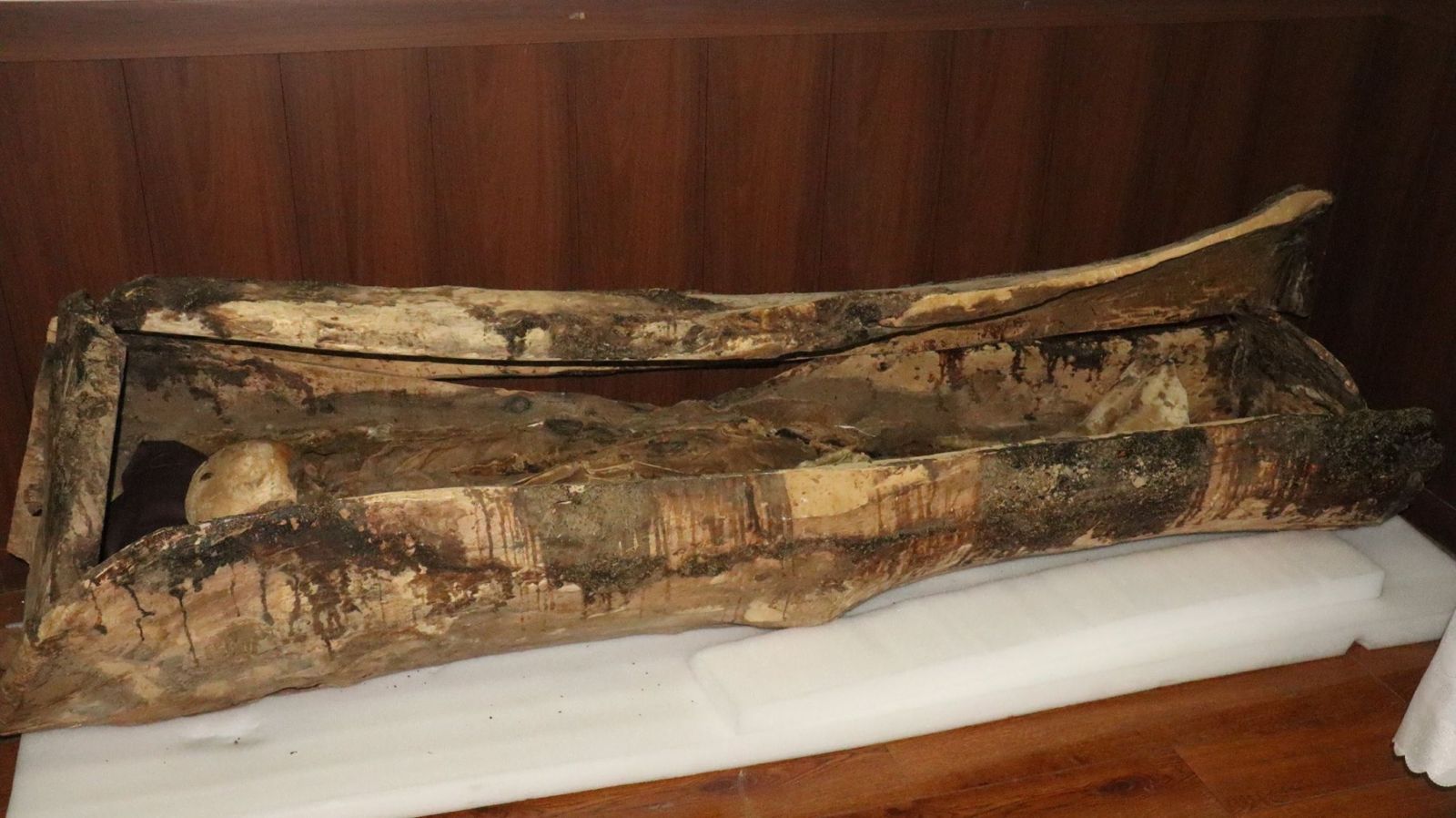 Баян-Өлгий аймгийн Алтанцөгц сумаас олдсон Ухмал дүнзэн авсанд оршуулсан хүний хатмал шарил буюу Мумми 