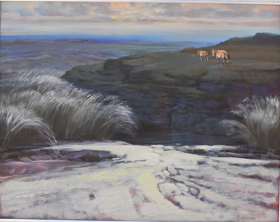 Ц.Байды "Тахилын ус" Говь-Алтай аймаг Зотон тос